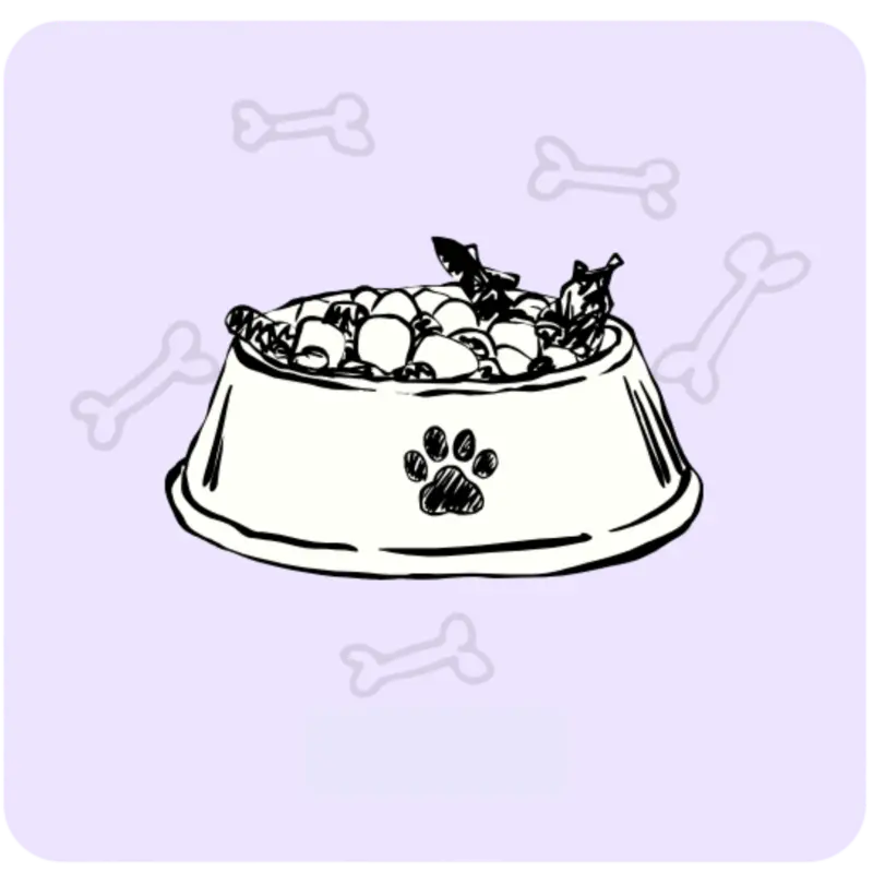 Dog Food