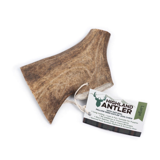 Fallow Antler by Nova-8