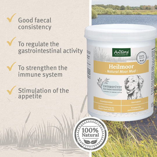 Natural Moor Mud by AniForte-2