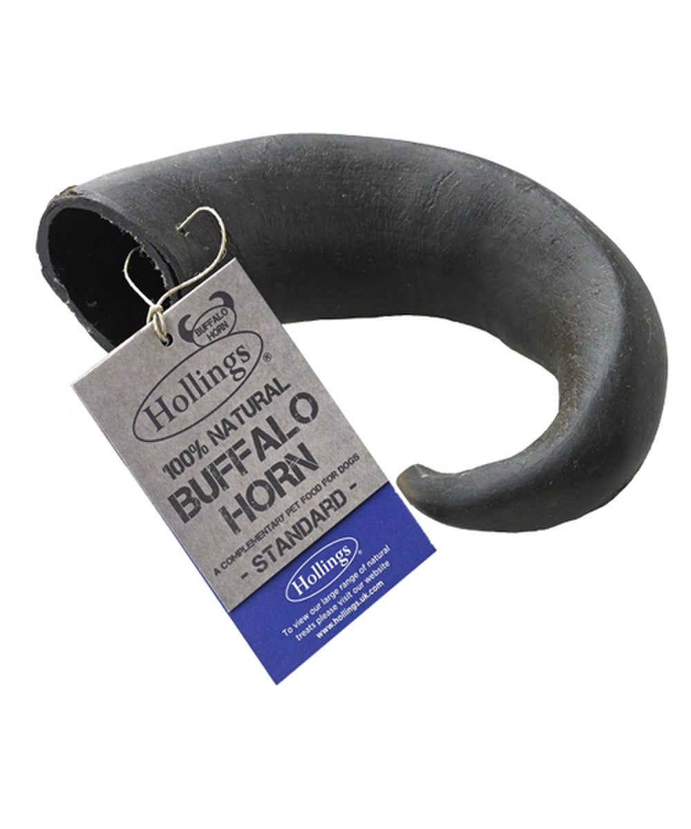 Buffalo Horns-5