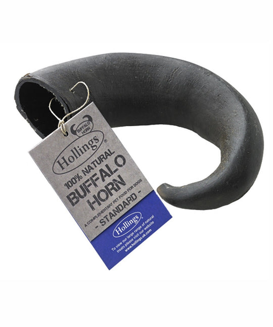 Buffalo Horns-5