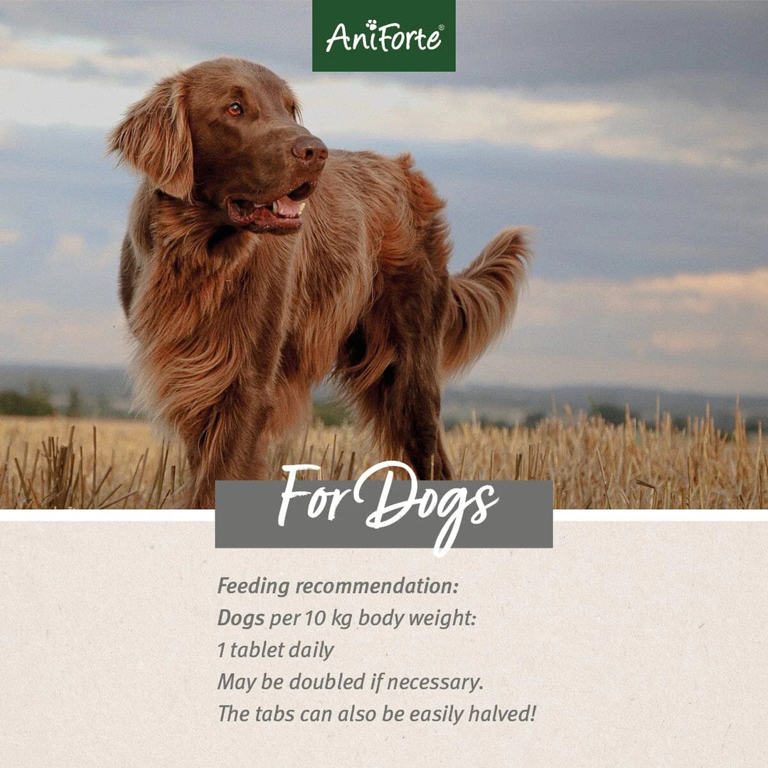 AgilityVET Joint Care Tablets by AniForte-4