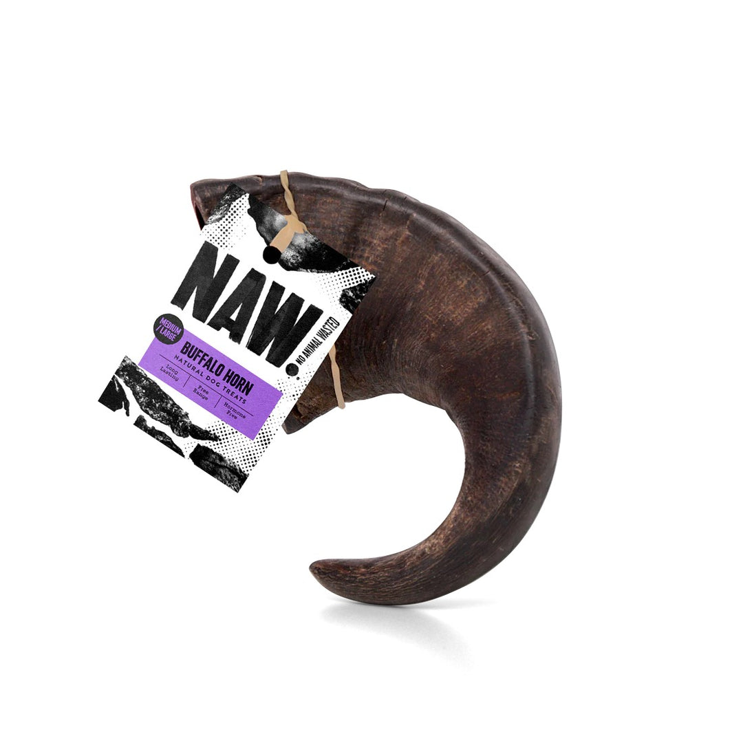 Buffalo Horns-3
