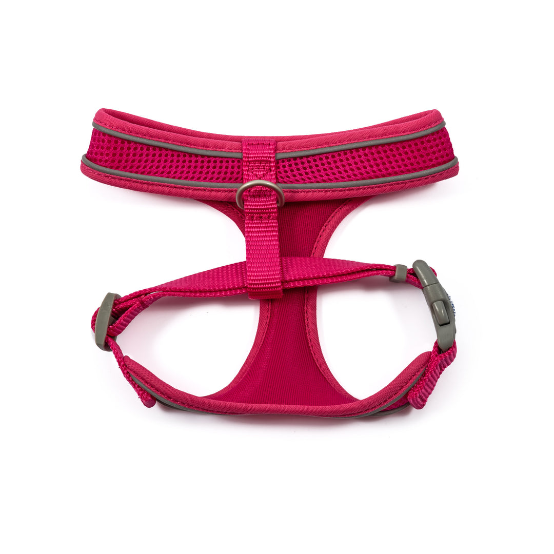 Viva Mesh Harness-8