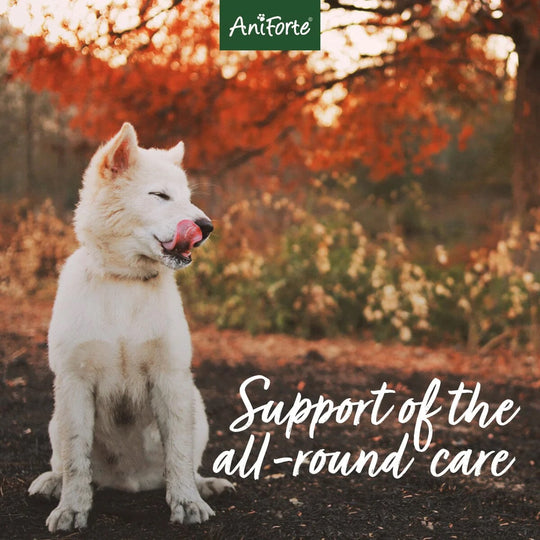 4in1 Complete for Dogs 250g by AniForte-4