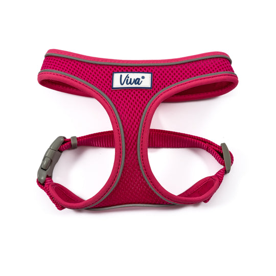 Viva Mesh Harness-7