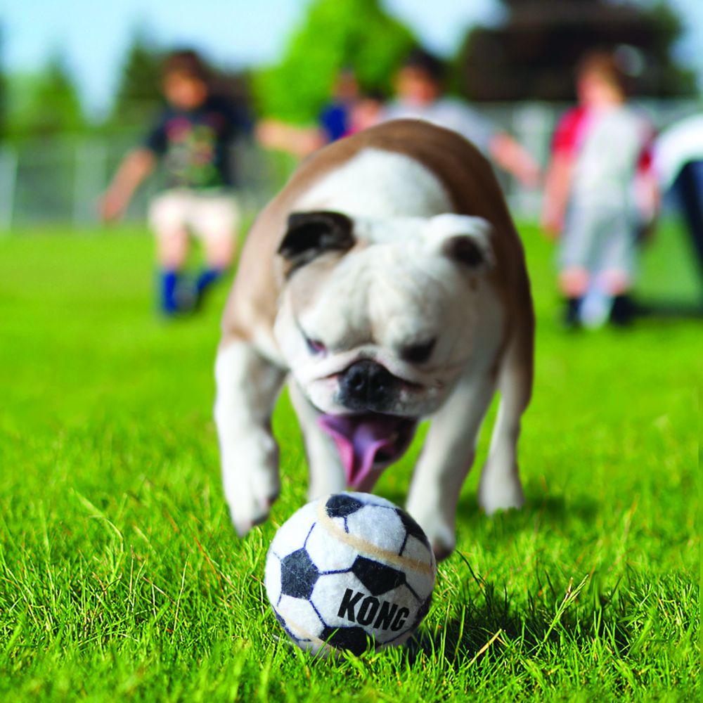 KONG Sports Balls-1