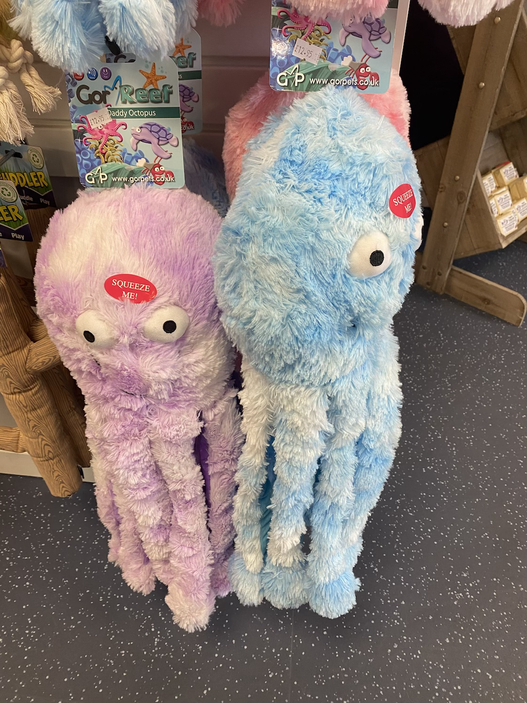 Octopus Family-5
