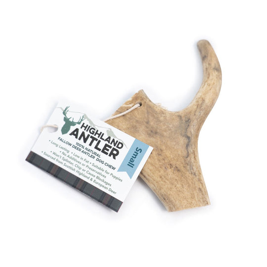 Fallow Antler by Nova-3