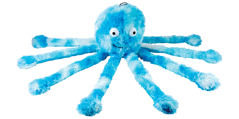 Octopus Family-1