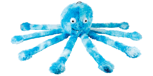 Octopus Family-1