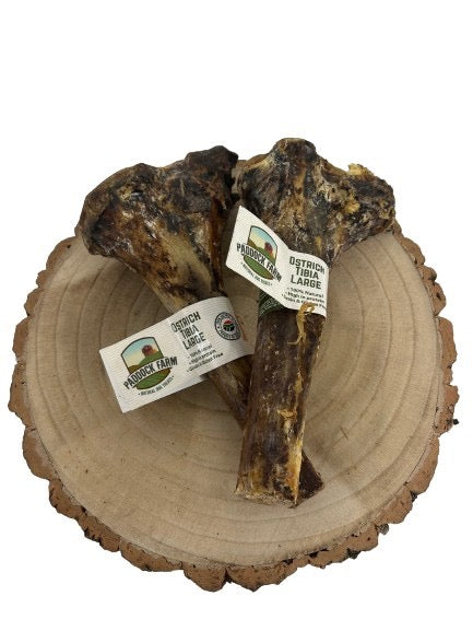 Nova Ostrich Large Tibia Bone-0