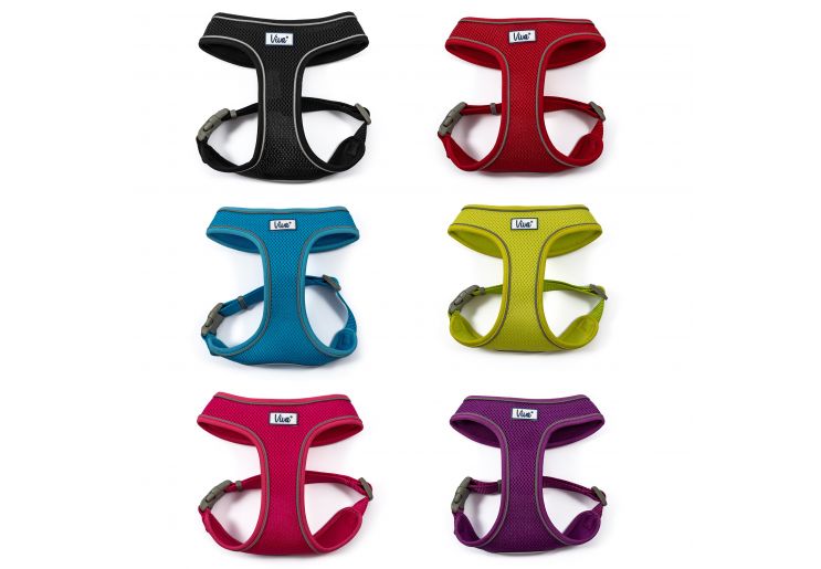 Viva Mesh Harness-0