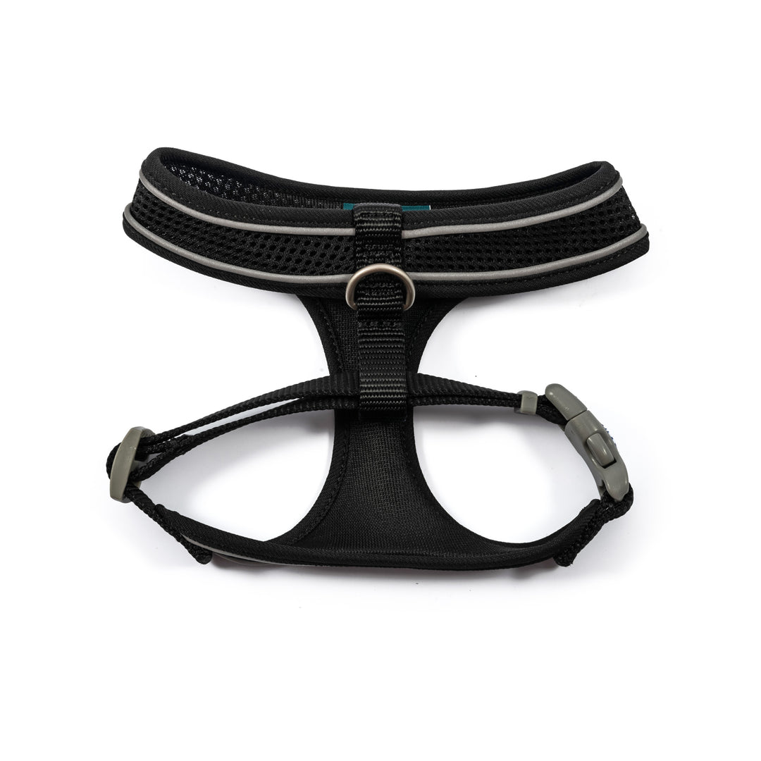 Viva Mesh Harness-10