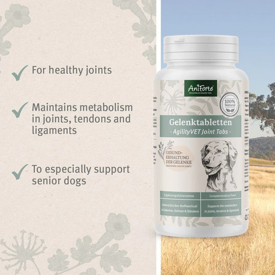 AgilityVET Joint Care Tablets by AniForte-5