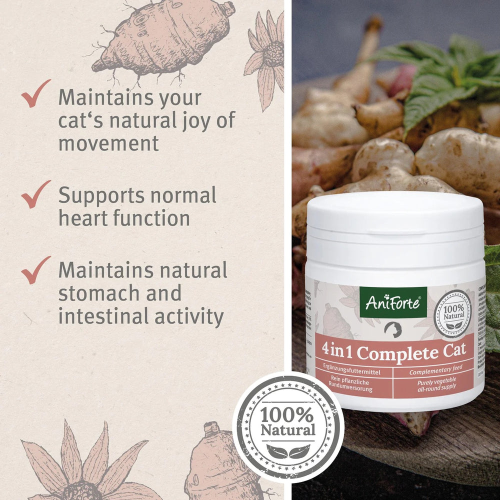 4in1 Complete for Cats 60g by AniForte-1