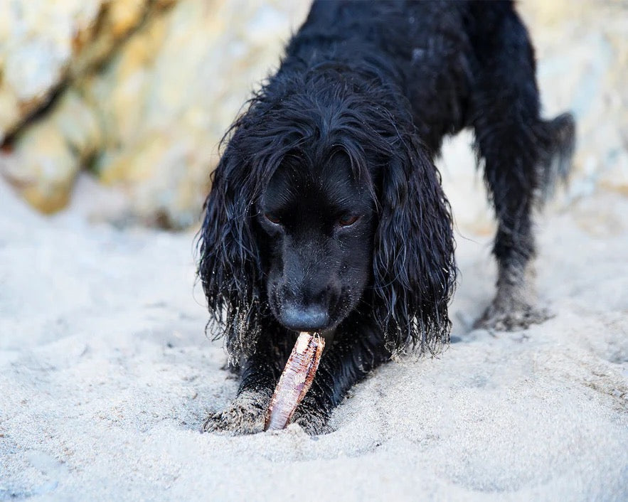 JR Ostrich Straws-1