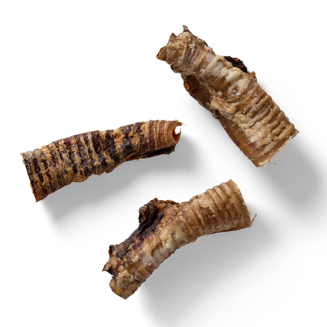 NAW! Beef Trachea-2