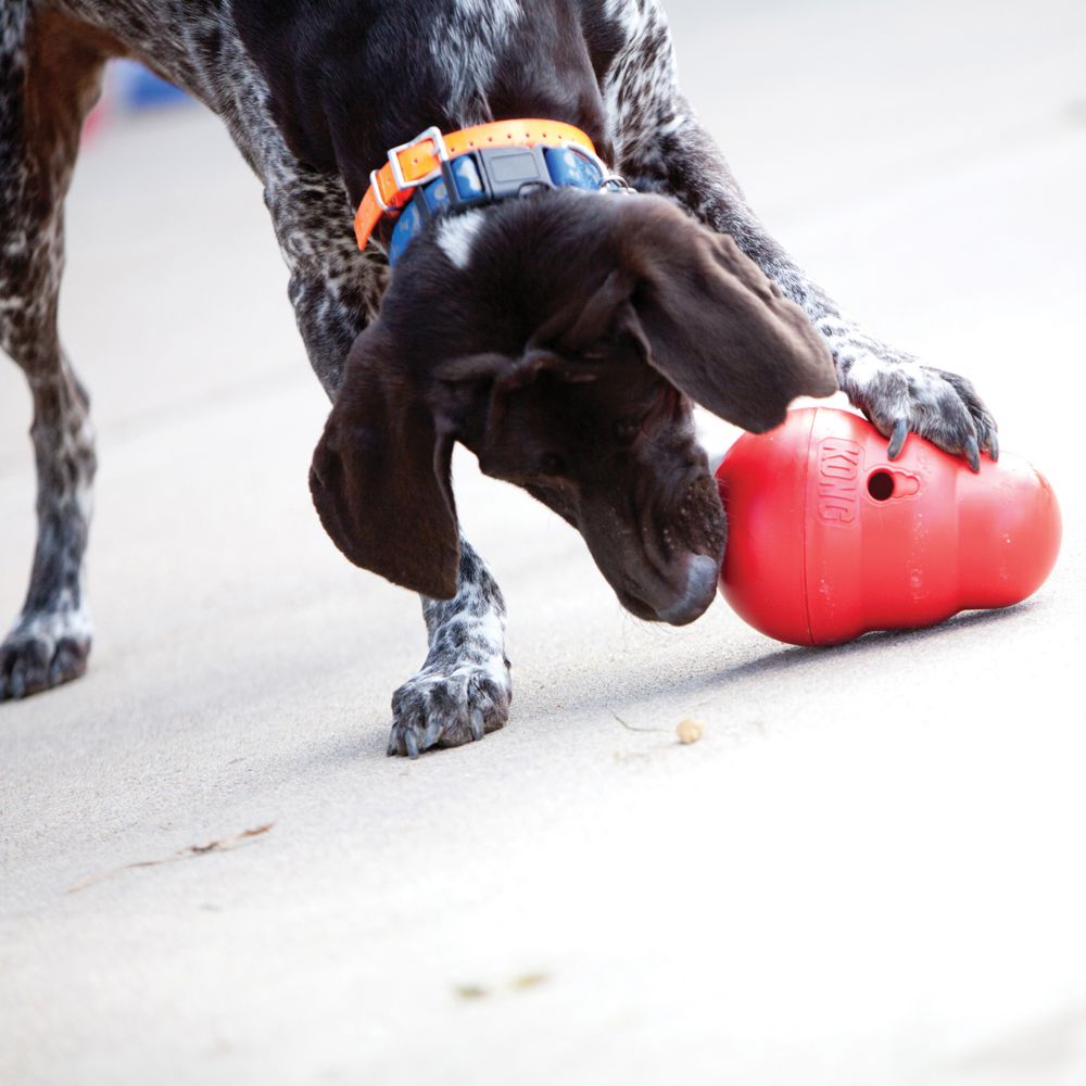 KONG Wobbler-0