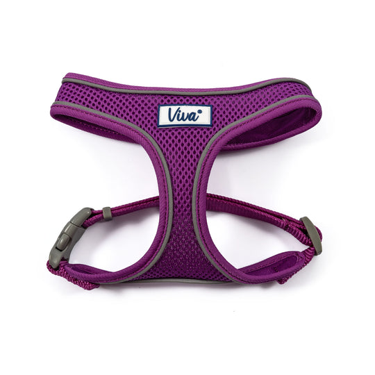 Viva Mesh Harness-5