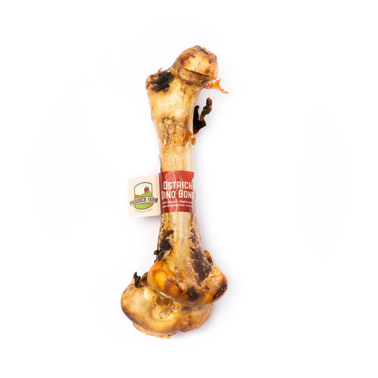 Ostrich Large Dino Bone-0