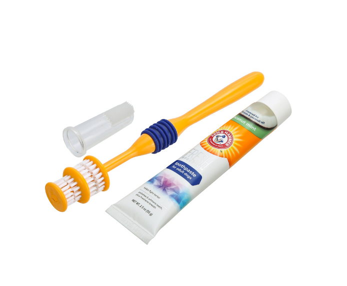 Arm & Hammer Fresh Coconut Dental Kit Dog-0
