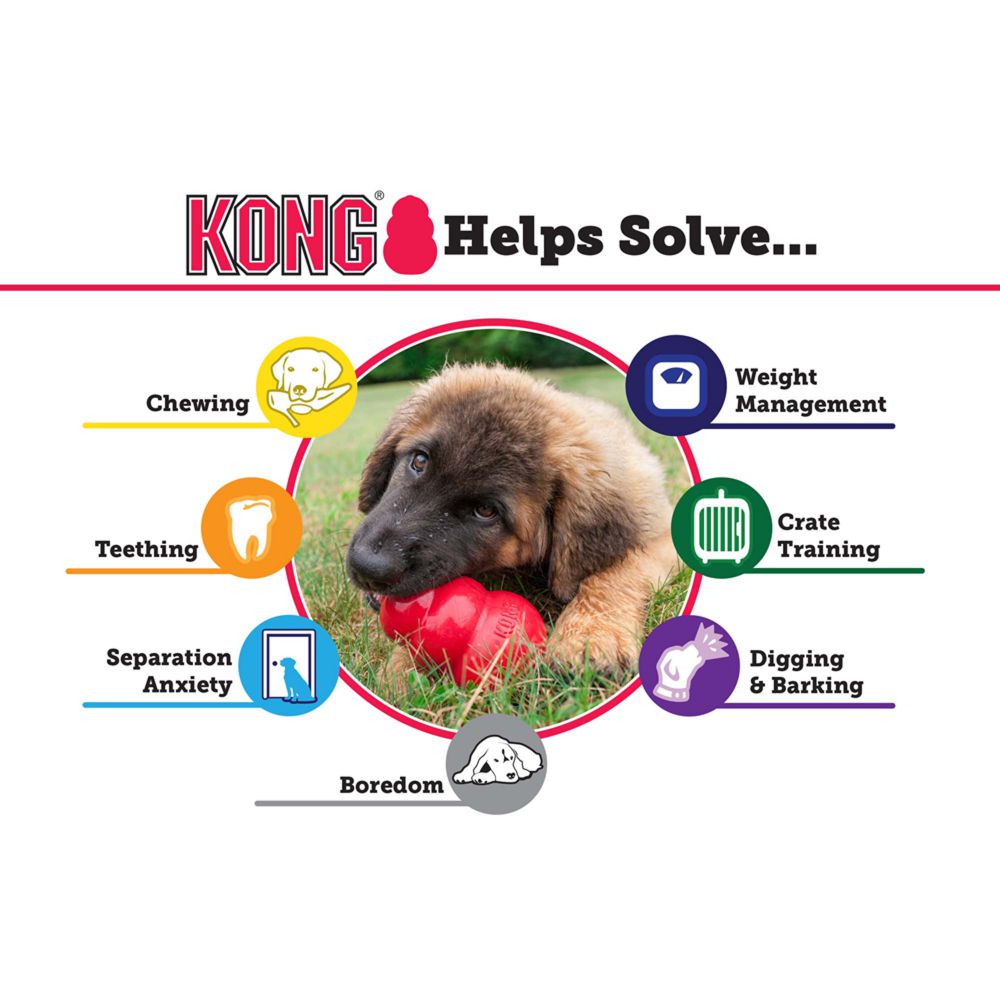 KONG Puppy-4