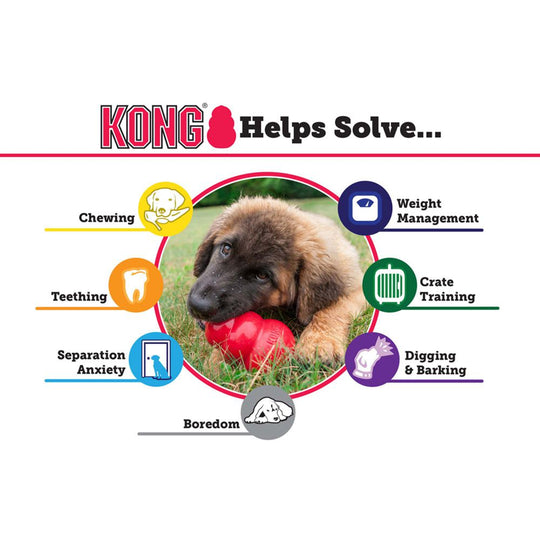 KONG Puppy-4