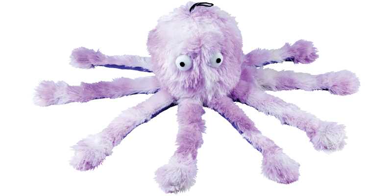 Octopus Family-2