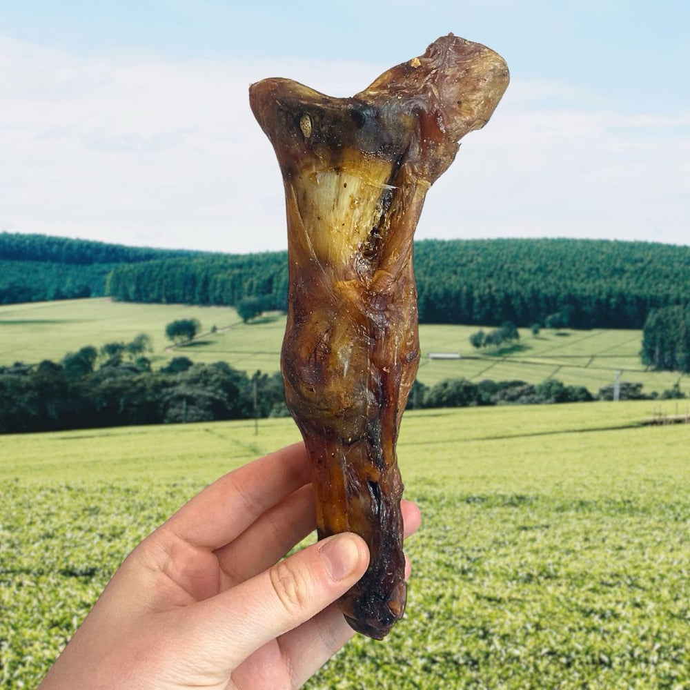 Ostrich Foot (Large)-1