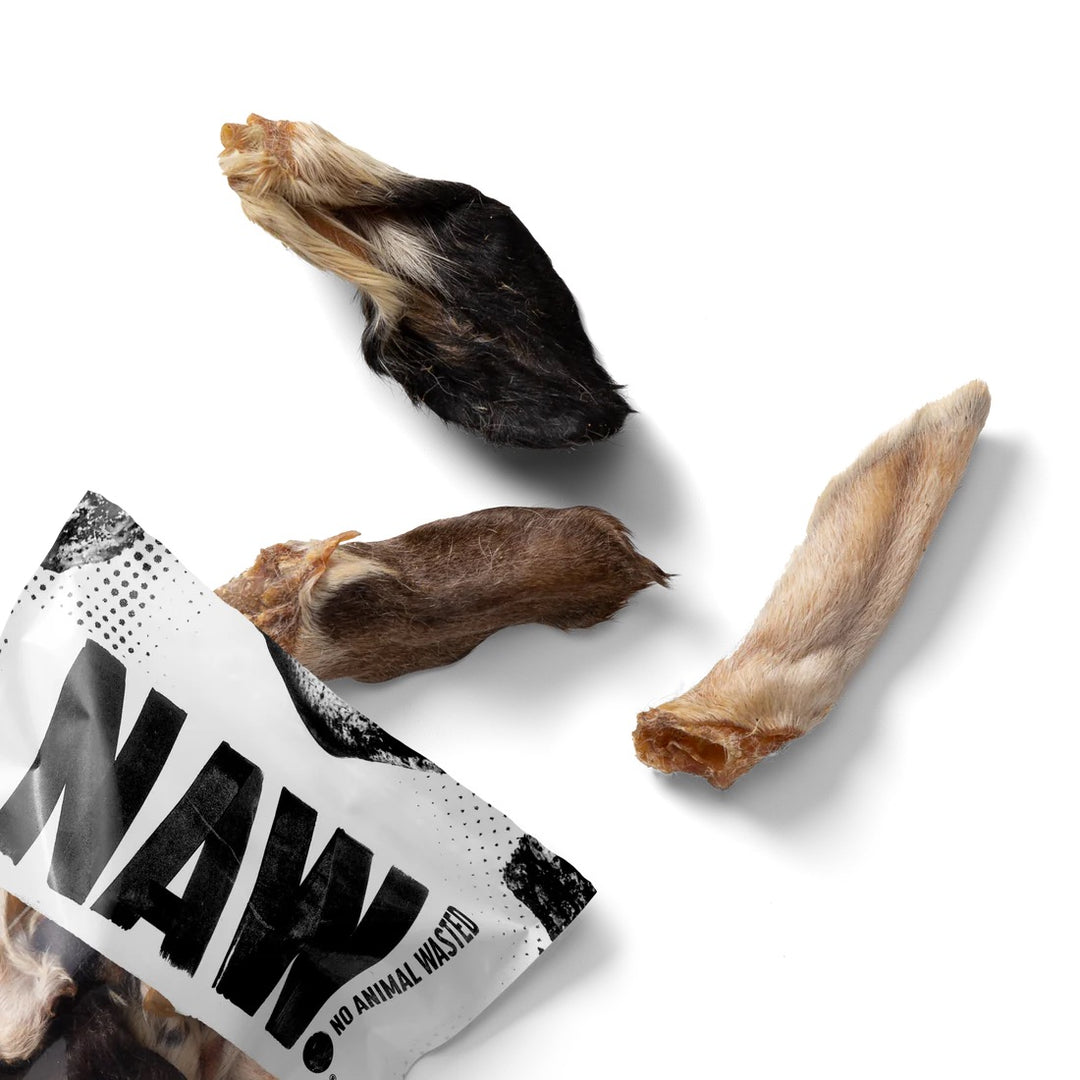 NAW! Hairy Lamb Ears-2