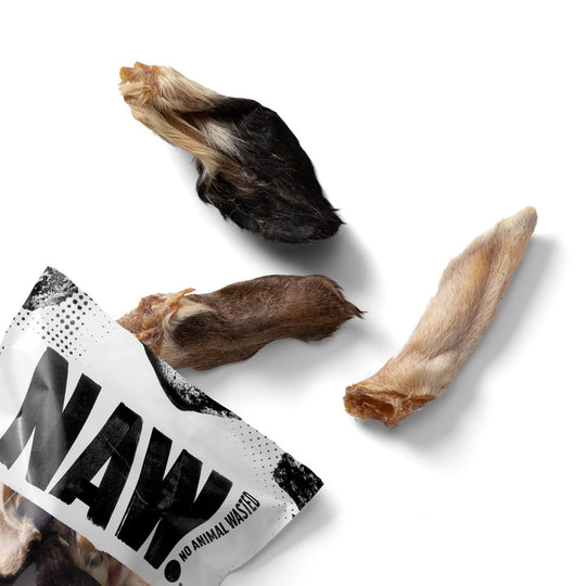 NAW! Hairy Lamb Ears-2