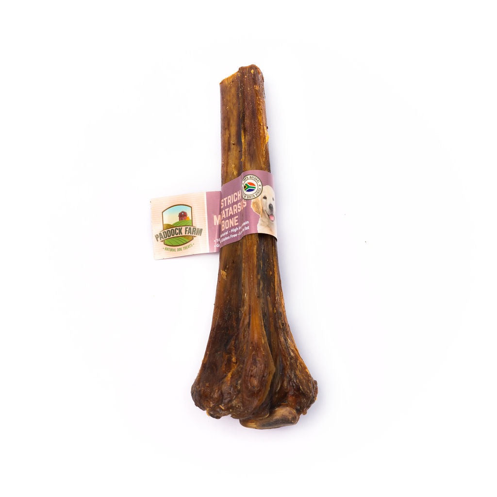 Nova Ostrich Metatarsus Bone-0