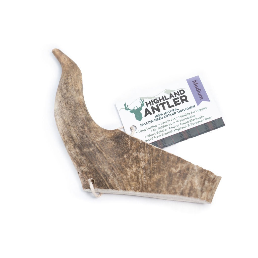 Fallow Antler by Nova-7