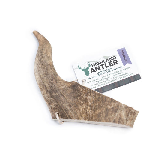 Fallow Antler by Nova-7