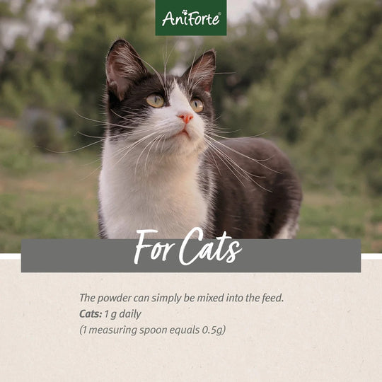 4in1 Complete for Cats 60g by AniForte-3