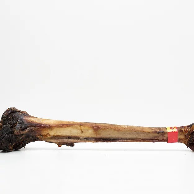 Nova Caveman Bone 800g+-0