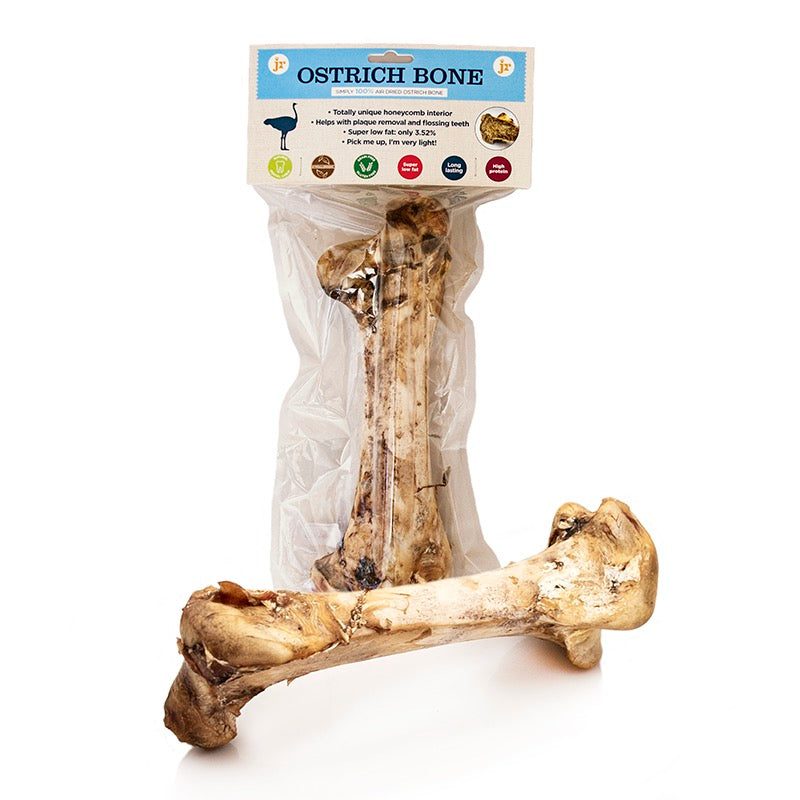Ostrich Large Dino Bone-2