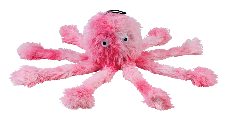 Octopus Family-3
