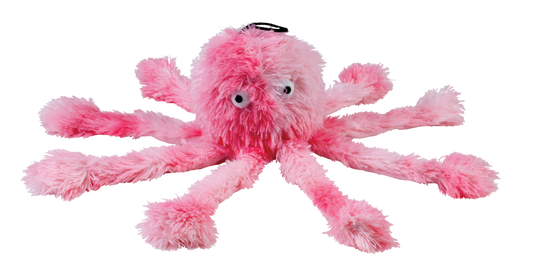 Octopus Family-3