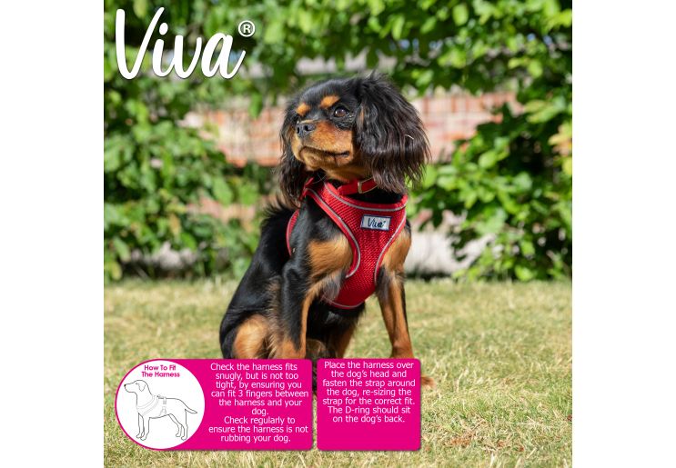 Viva Mesh Harness-1
