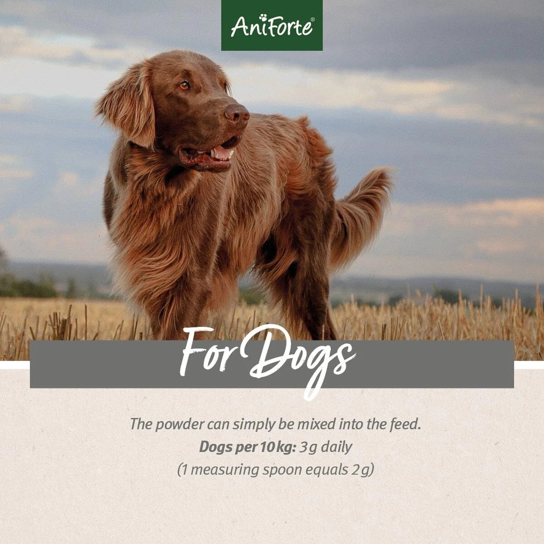 4in1 Complete for Dogs 250g by AniForte-2