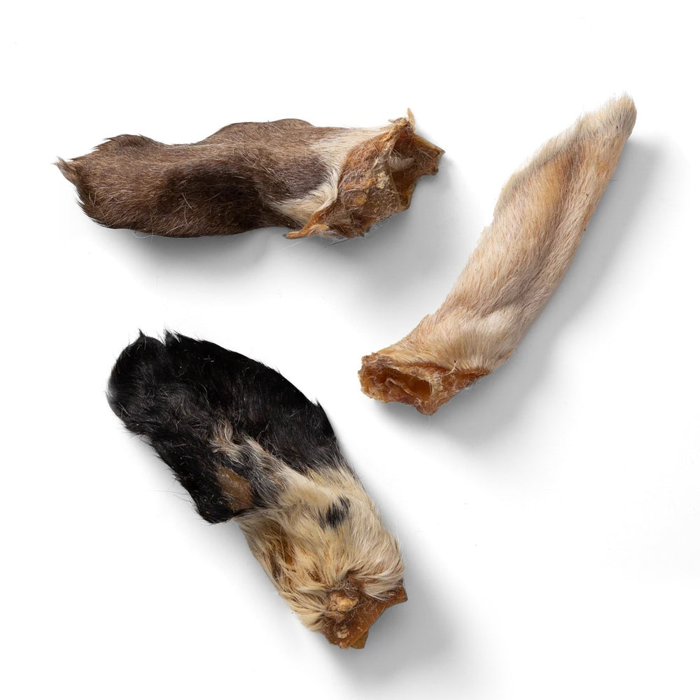 NAW! Hairy Lamb Ears-1