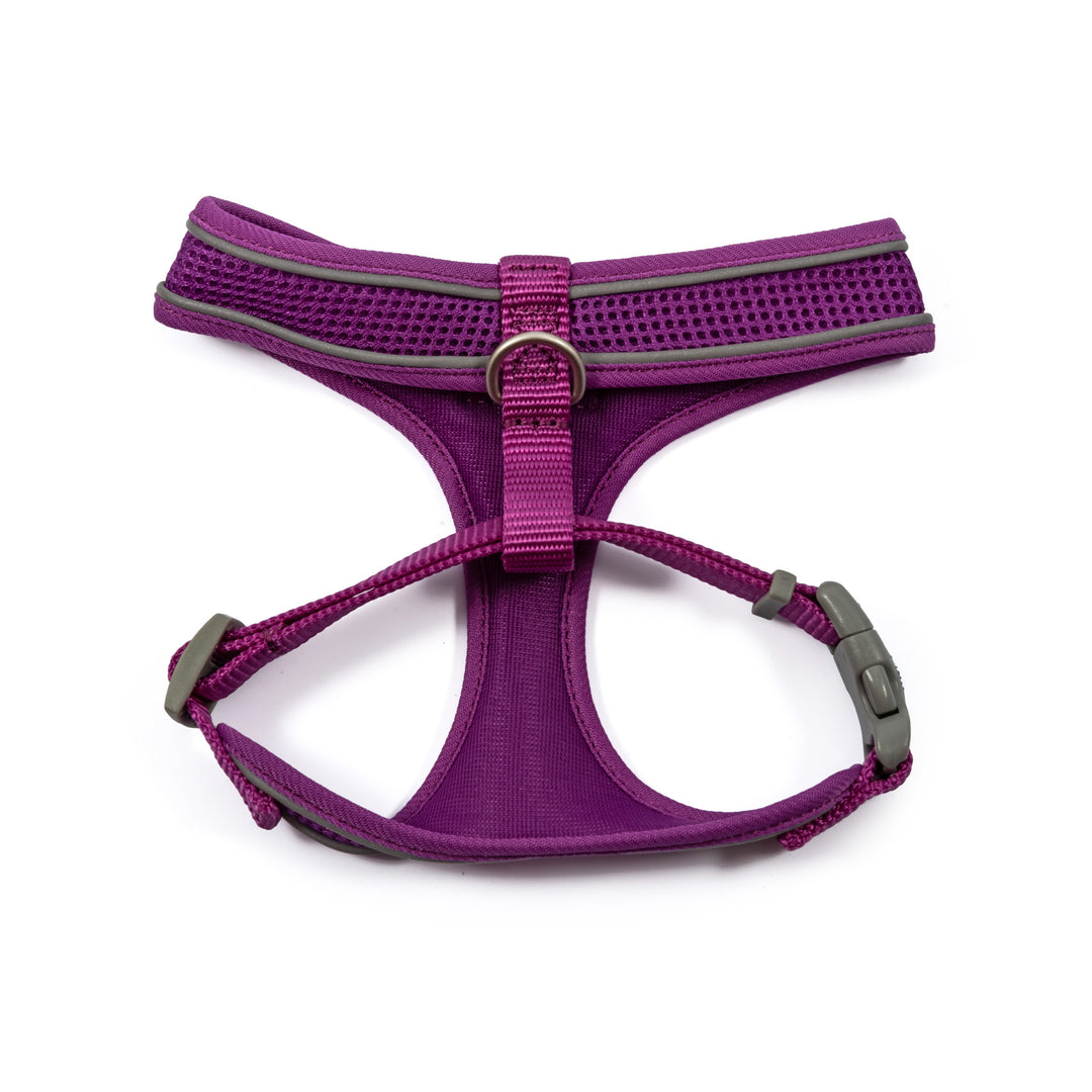 Viva Mesh Harness-6
