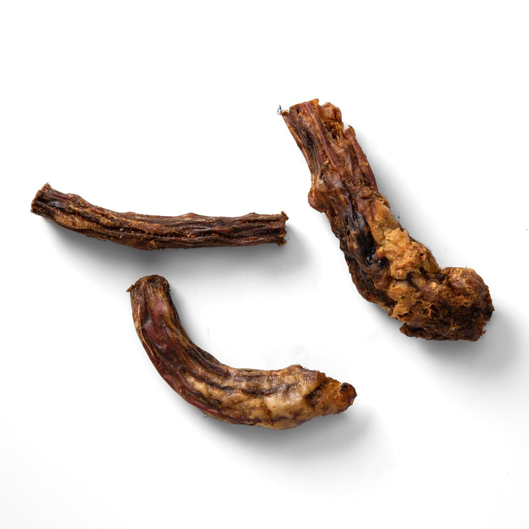 NAW! BuffaloTails-2