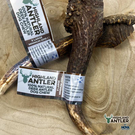 Full Antler Dog Chew