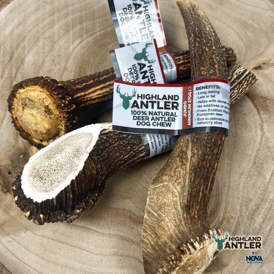 Full Antler Dog Chew
