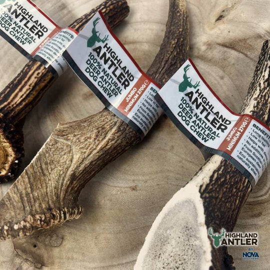 Full Antler Dog Chew