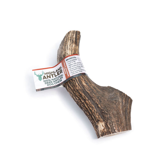 Full Antler Dog Chew