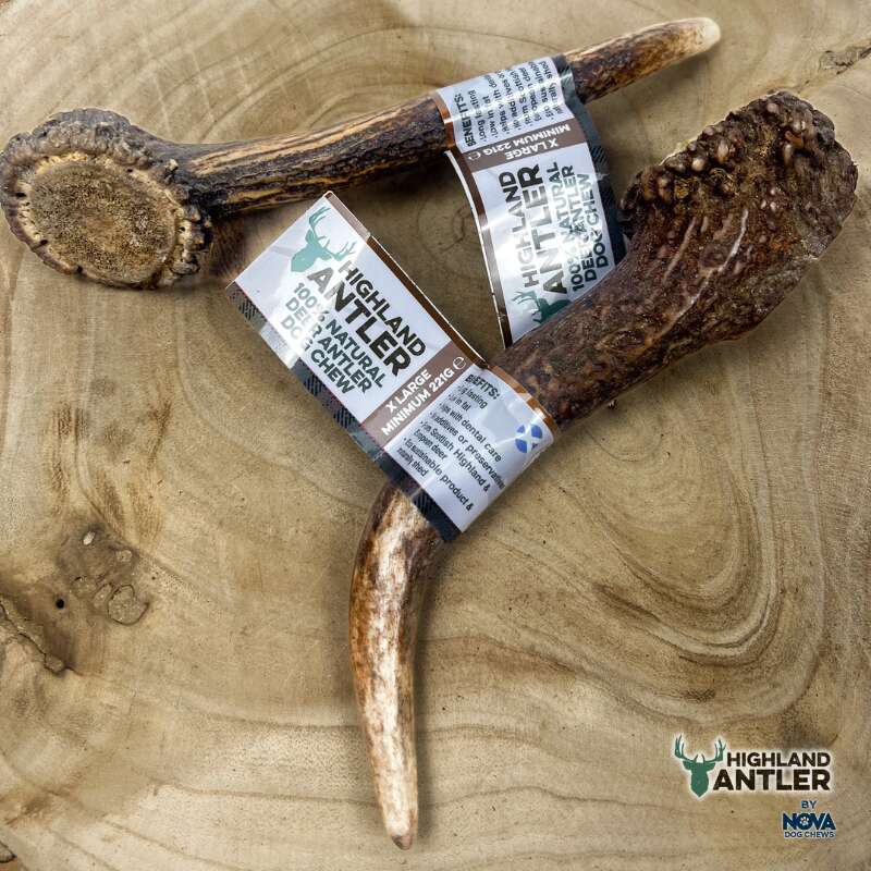 Two Highland Antler antlers with packaging on a wooden surface, featuring the Highland Antler logo.